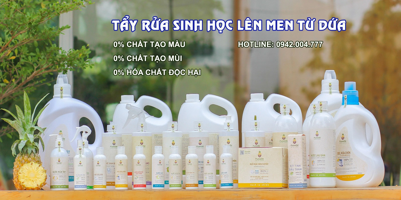 Đại lý Fuwa3e tại Thành phố Thanh Hóa
