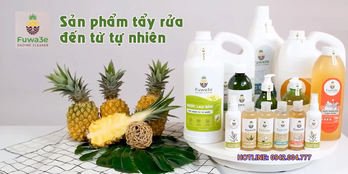 Đại lý Fuwa3e tại Thành phố Thanh Hóa